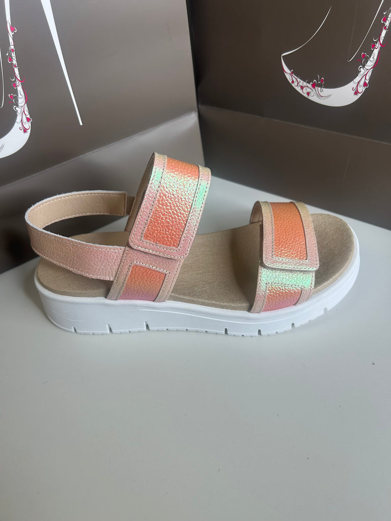 Jose saenz 261076 Igea Iris Rosa/Coral