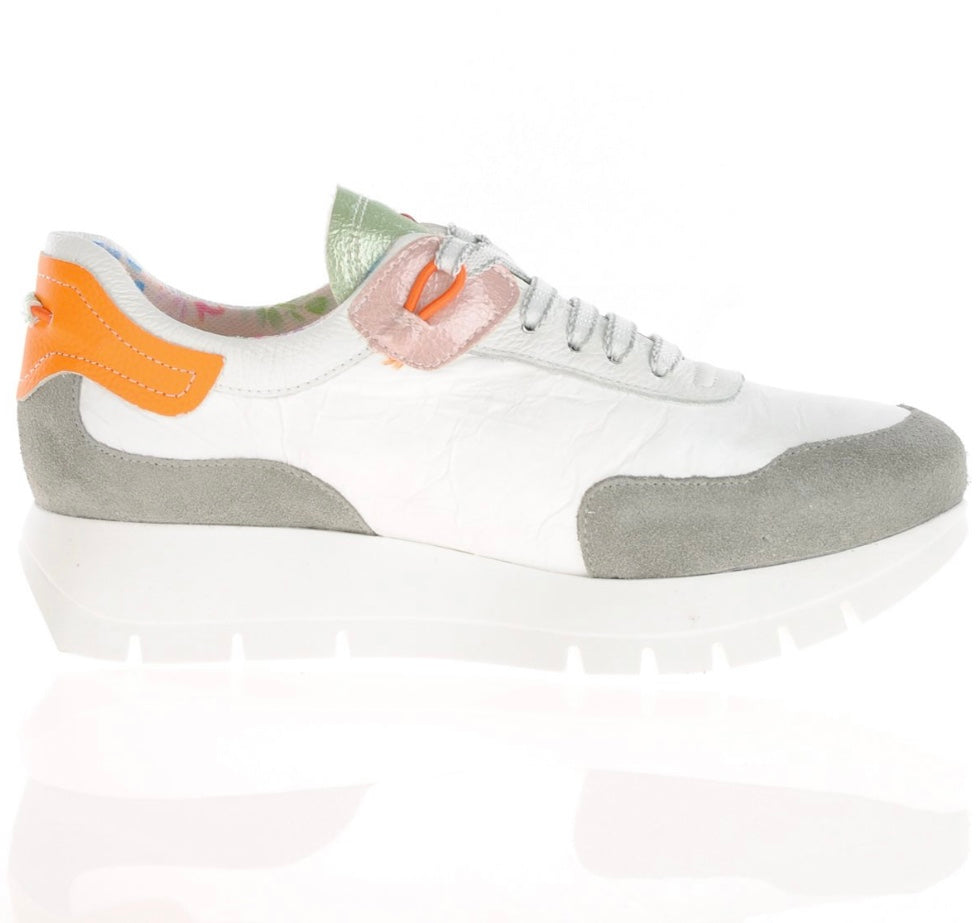 Jose Saenz 25032 Trainer