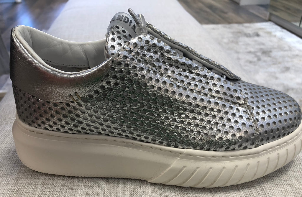 AndiaFora 24068 trainer