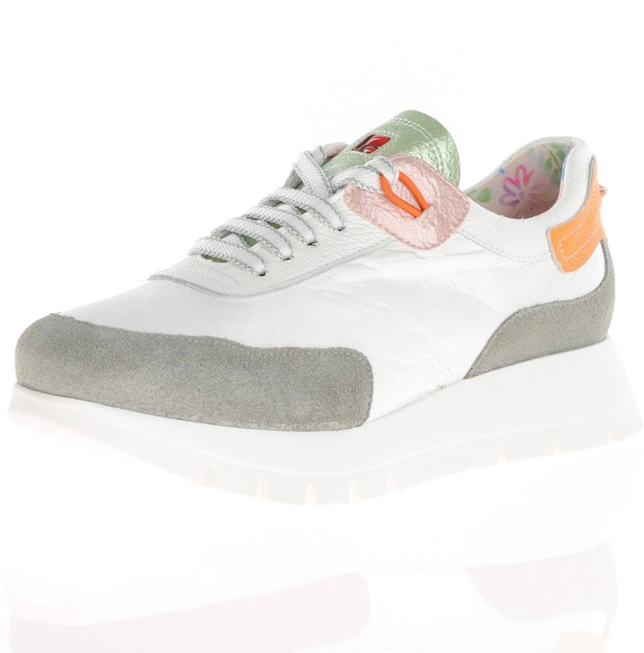 Jose Saenz 25032 Trainer