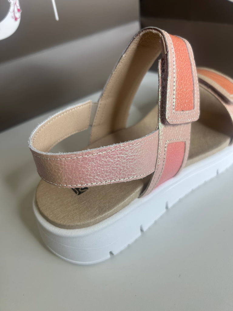 Jose saenz 261076 Igea Iris Rosa/Coral