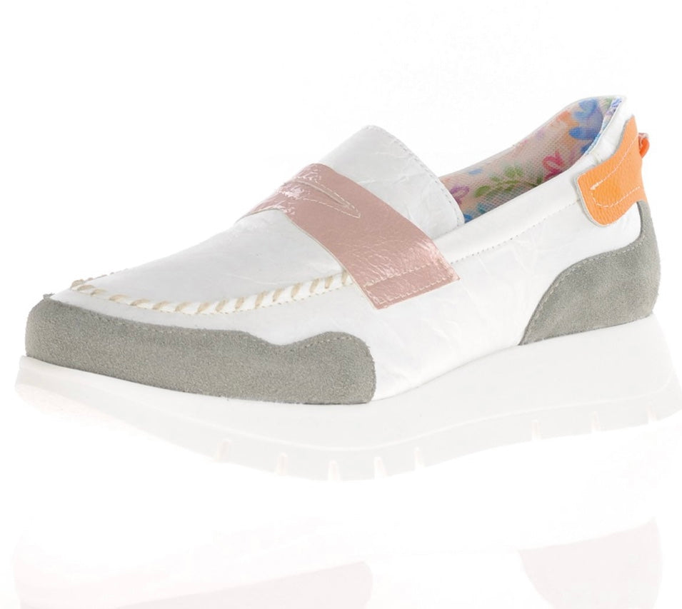 Jose Saenz 25033 Trainer