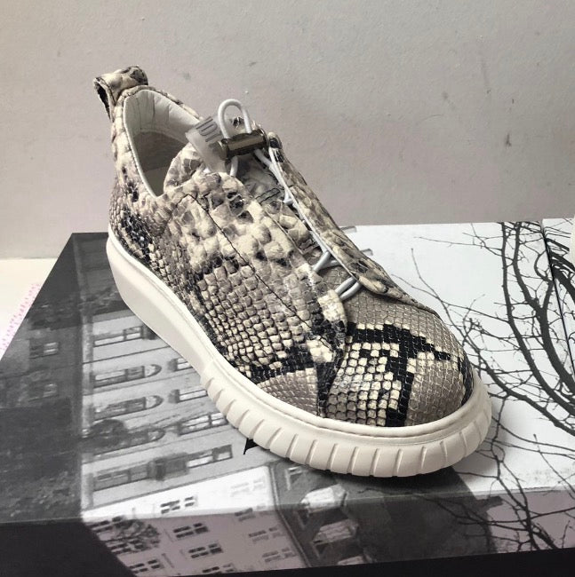 Andia fora Pitone Roccia 261001